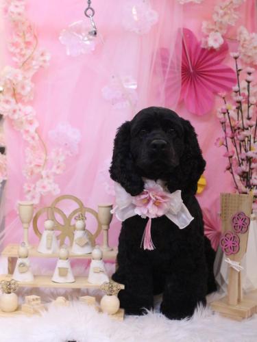 20250313天ちゃん